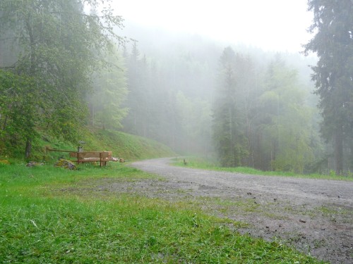 Nebelschwaden steigen im Regen auf